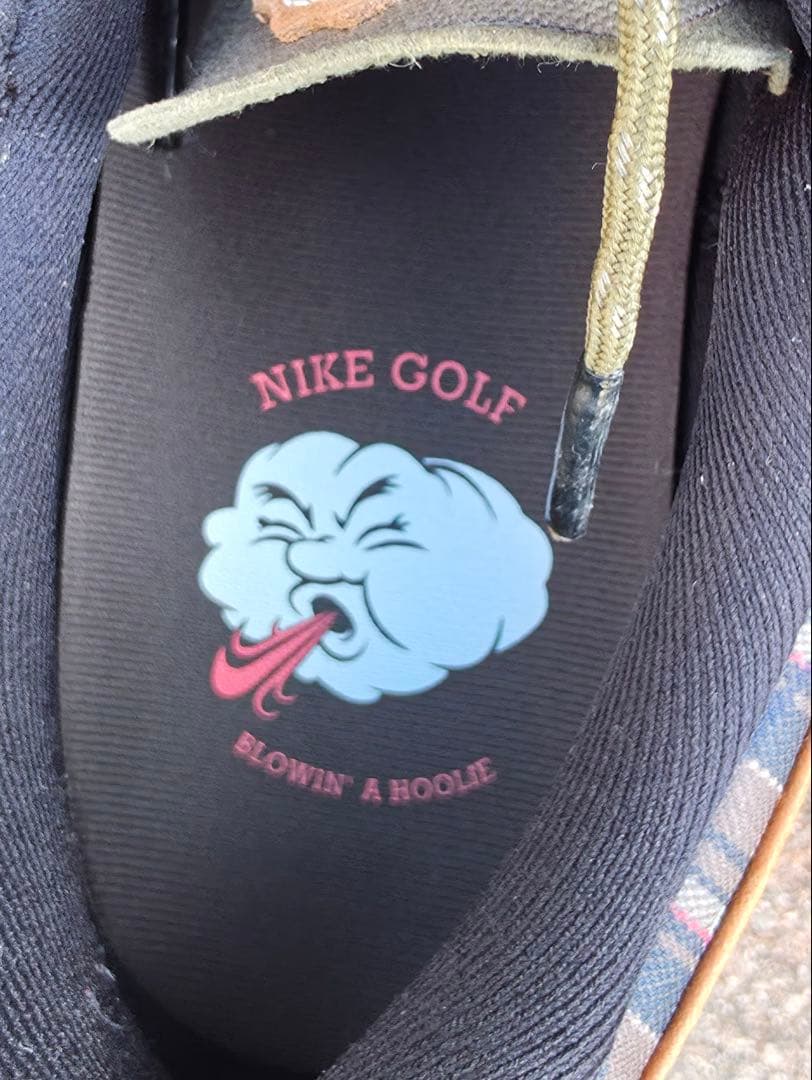NIKE ナイキ ビクトリー ツアー 3 NRG